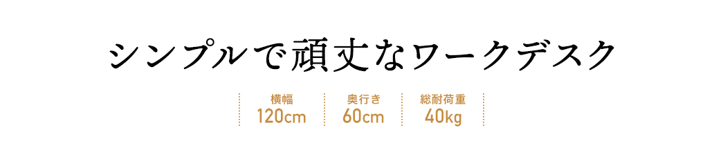 シンプルで頑丈なワークデスク 横幅120cm 奥行き60cm 総耐荷重40kg