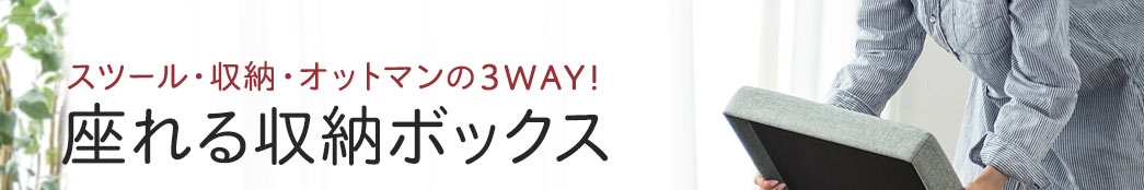 スツール・収納・オットマンの3WAY 座れる収納ボックス