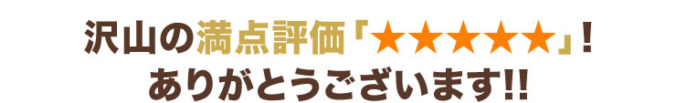 沢山の満点評価ありがとうございます。